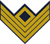Company First Sergeant (Cavalry)