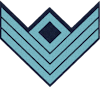 Company First Sergeant (Infantry)