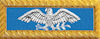 Colonel (Infantry)