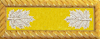 Lieutenant Colonel (Cavalry)