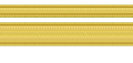 Lieutenant Junior Grade