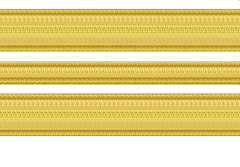 Lieutenant Commander