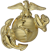 Enlisted Collar Insignia