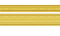 Lieutenant Junior Grade