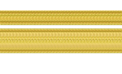 Lieutenant Junior Grade