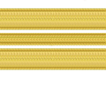 Lieutenant Commander Lieutenant Commander